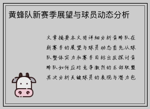 黄蜂队新赛季展望与球员动态分析