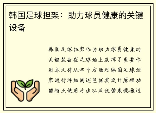 韩国足球担架：助力球员健康的关键设备