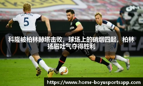 博鱼体育官网